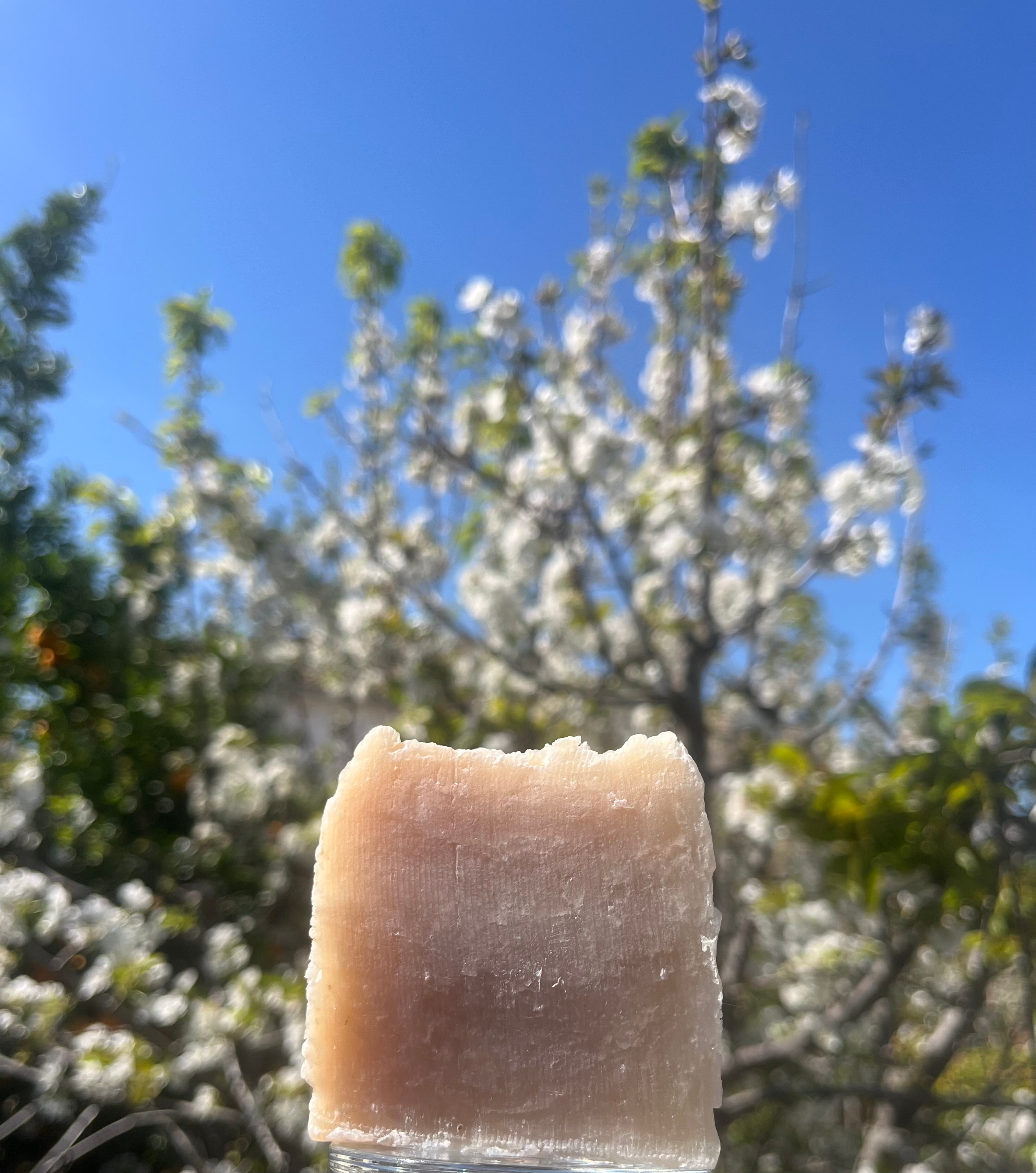 Sea Moss Silk Bar (Unscented)