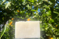 Sea Moss Silk Bar-Travel Size (Unscented)